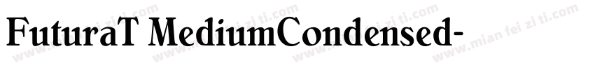 FuturaT MediumCondensed字体转换